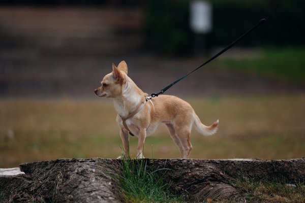 Comment demander une carte de pêche en toute simplicité ?