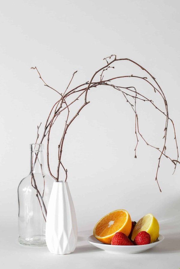 Quels sont les meilleurs aliments pour renforcer l'immunité d'un chaton British Shorthair?